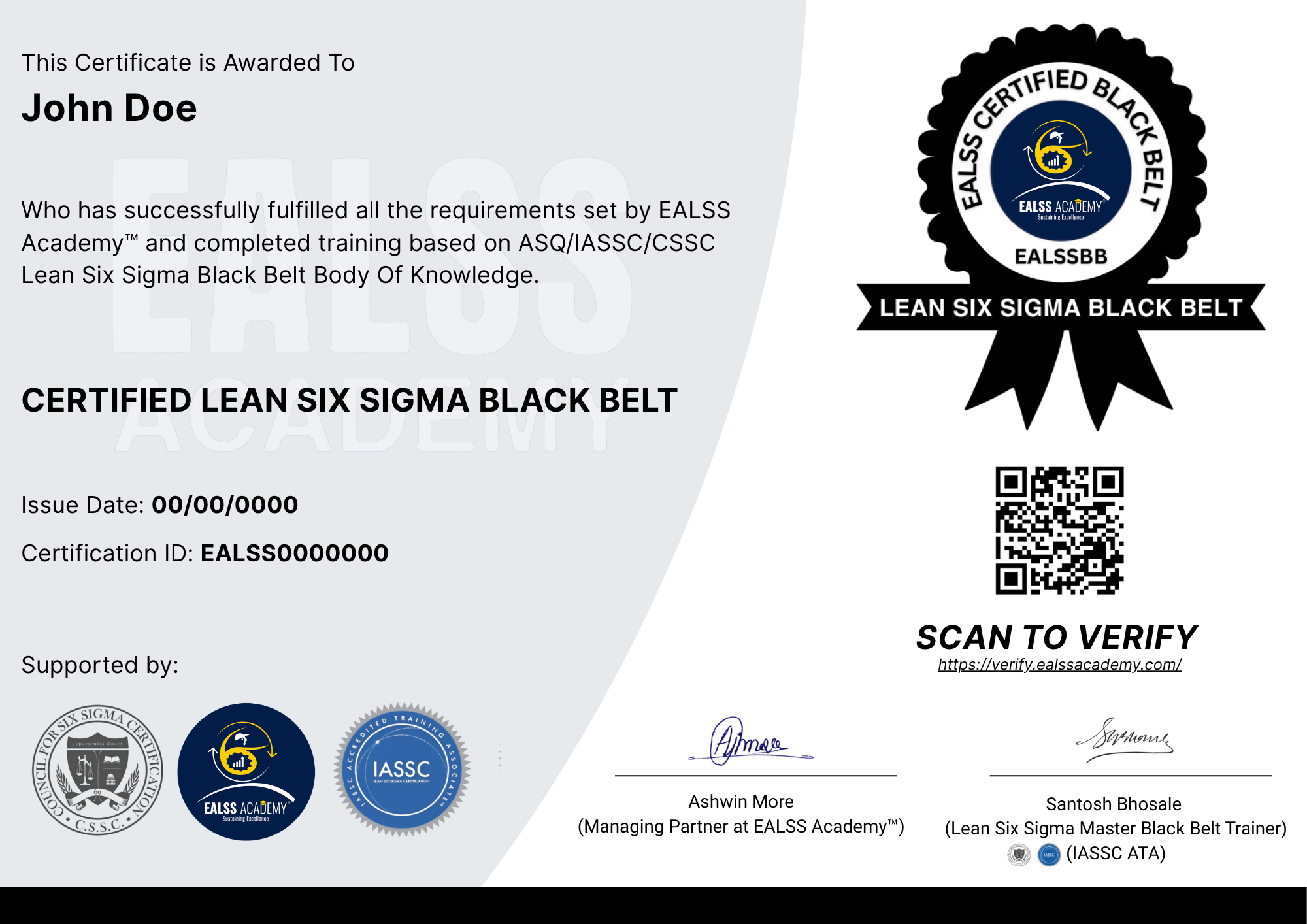 Lean Six Sigma Black Belt